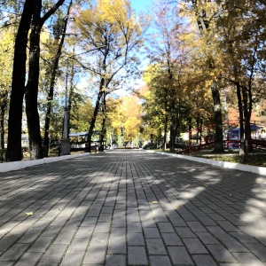 Фото от владельца Летний сад им. М. Горького, парк культуры и отдыха