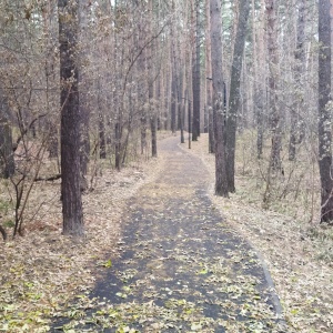 Фото от владельца Заельцовский, парк культуры и отдыха