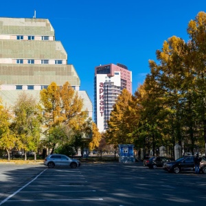 Фото от владельца Южно-Уральский государственный медицинский университет