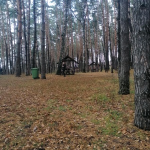 Фото от владельца Пикник, парк