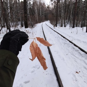 Фото от владельца Сосновый бор, парк культуры и отдыха