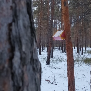 Фото от владельца Городской центральный парк культуры и отдыха, МАУ