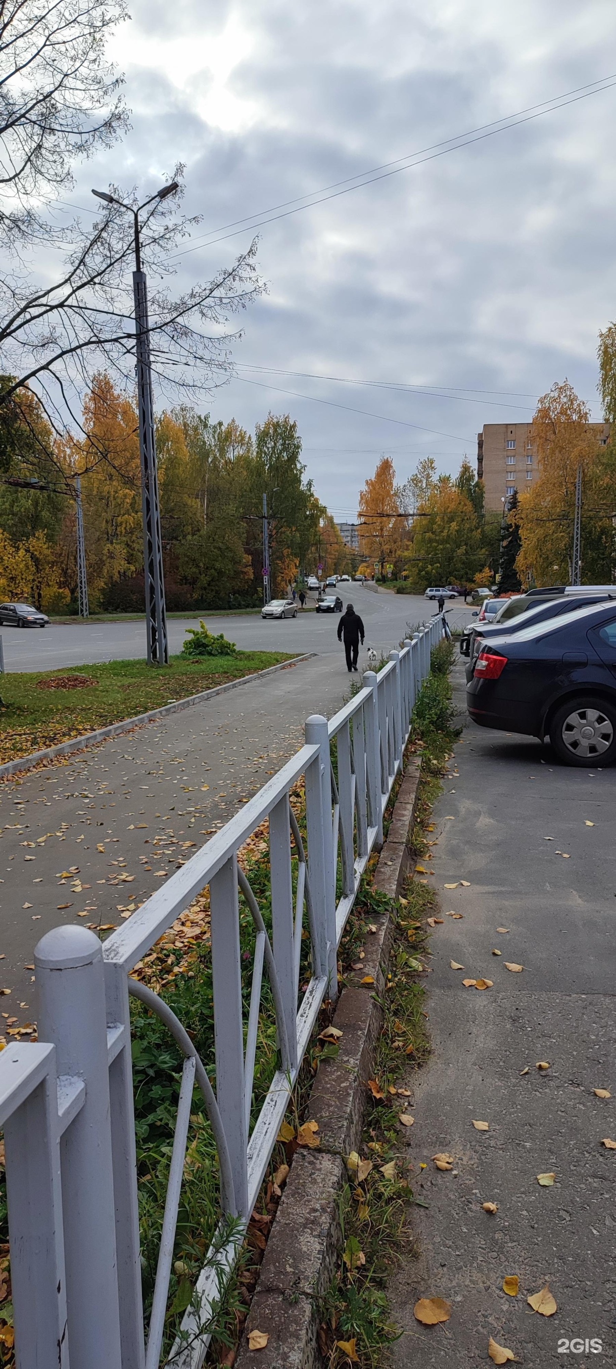 Петрозаводский базовый колледж