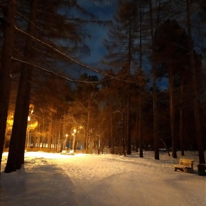 Фото от владельца Екатеринбургский Центральный Парк Культуры и Отдыха им. В.В. Маяковского