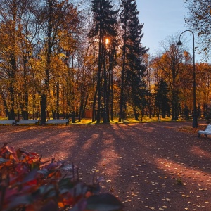 Фото от владельца Московский парк Победы