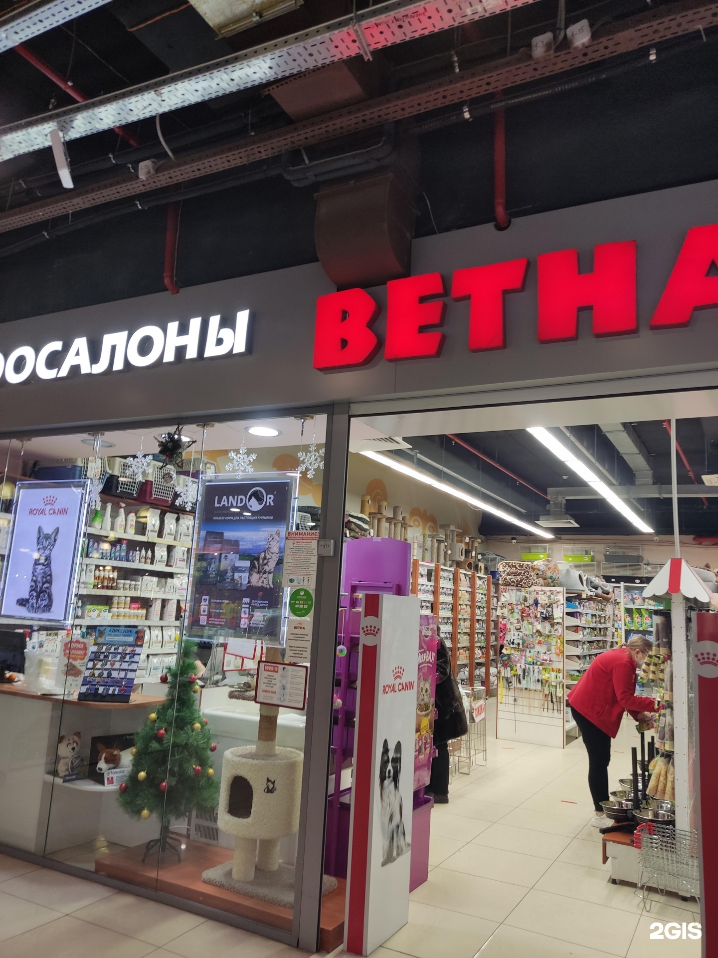 Ветна. Ветна Дема. Зоомагазин Центральный Пермь. Ветна картинка магазина. Чернышвмего 204 Ветна.