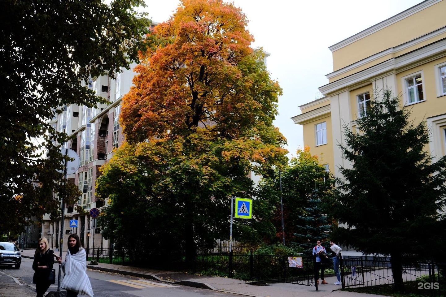 Педагогический колледж 4 санкт петербурга. Колледж Некрасова. Костромской проспект СПБ. Техникум № 46 Выборг.