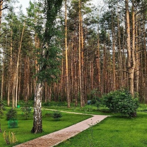 Фото от владельца Восьмая миля, загородное кафе