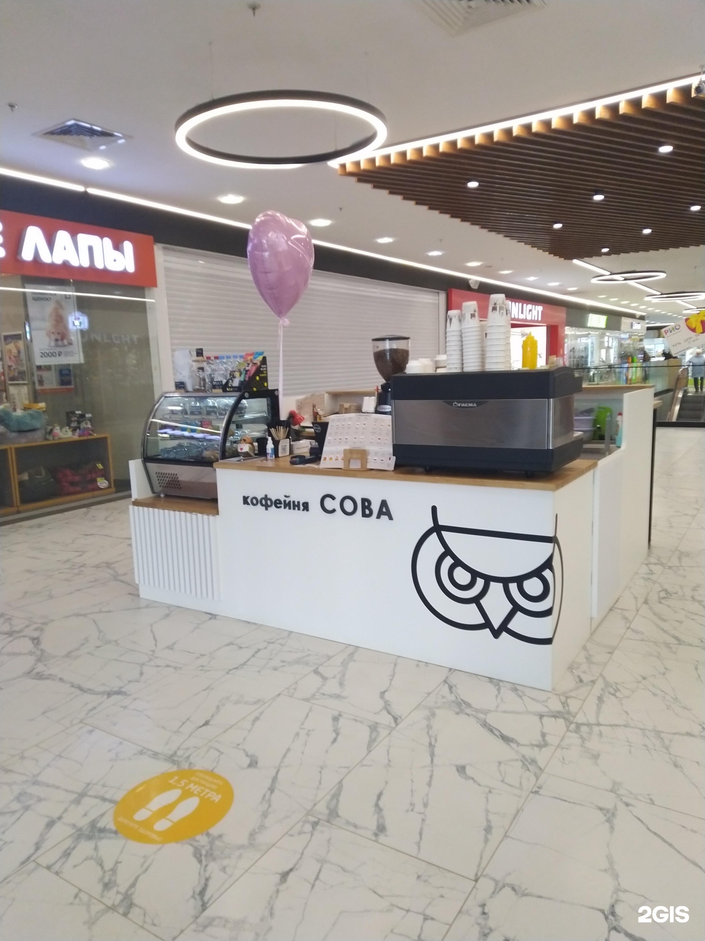 Кофейня сова