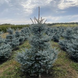 Фото от владельца Братья Green, группа компаний