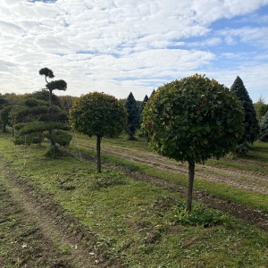 Фото от владельца Братья Green, группа компаний