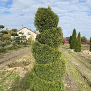 Фото от владельца Братья Green, группа компаний