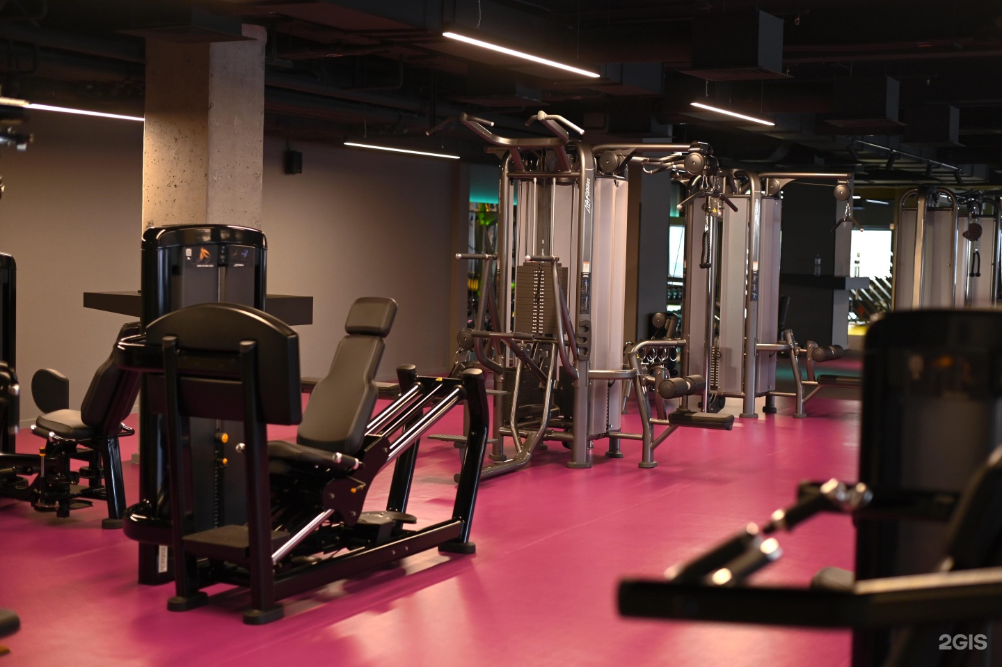 тренажёрный зал в отрадном. Fitnation митино. Uni gym мытищи. фитнес olimp кисловский. круглосуточные фитнес клубы москвы.