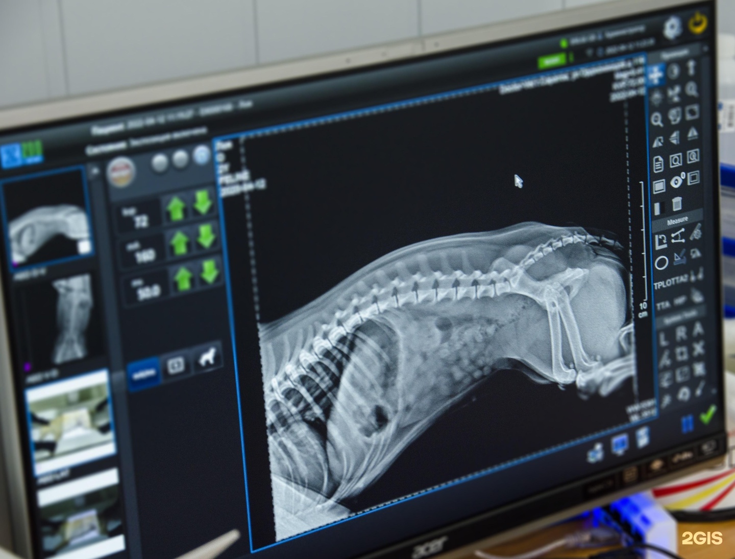 Доктор вет рязань. Фиксация животного на рентгене. ВЕТЛИКА рентген для животных меню. Выкладки на рентген животных подсказка.
