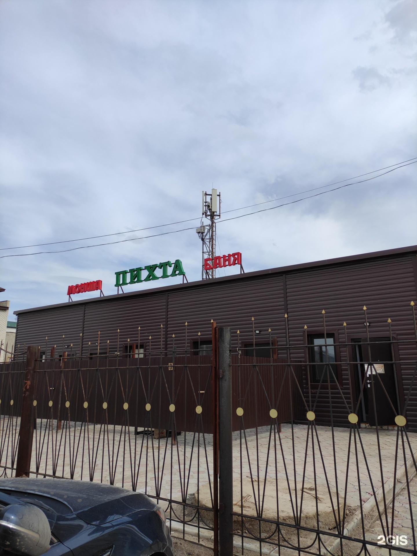 Пихта