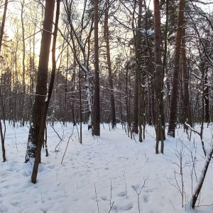 Фото от владельца Кузьминки, парк культуры и отдыха