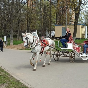 Фото от владельца Городской парк культуры и отдыха им. Виктора Талалихина