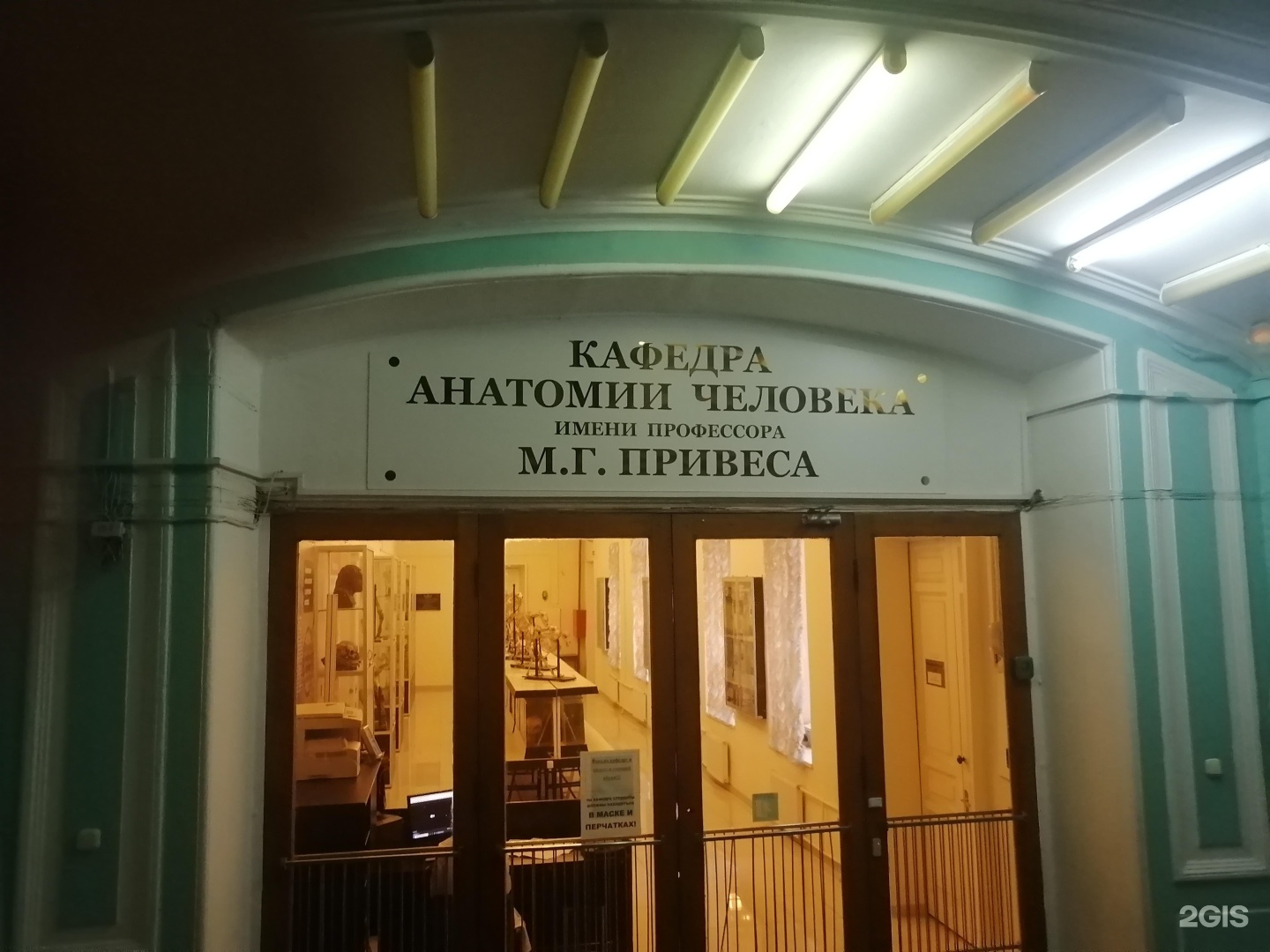 Толстого 6 8. Анатомический Эрмитаж Санкт-Петербург. Анатомический Эрмитаж. Анатомический музей вывеска.