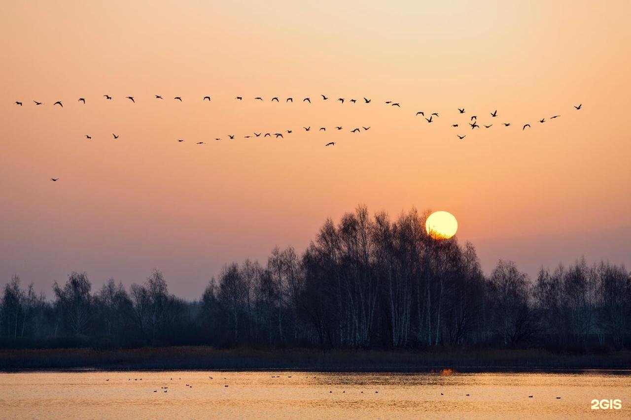 April morning. Апрельское утро. Утро апрель. Апрельское утро фото. Апрельский рассвет фото.