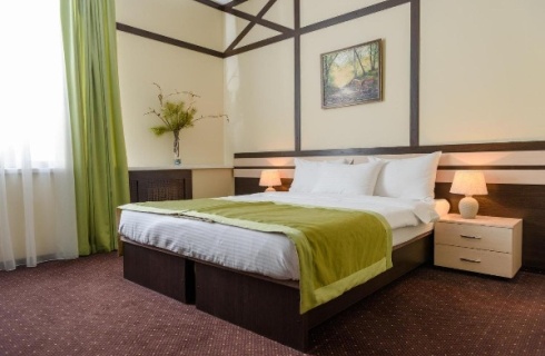 с. Выльгорт: Отель Мельница