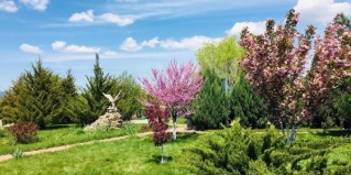 Волгодонск: Турбаза Алмаз Аква Плаза