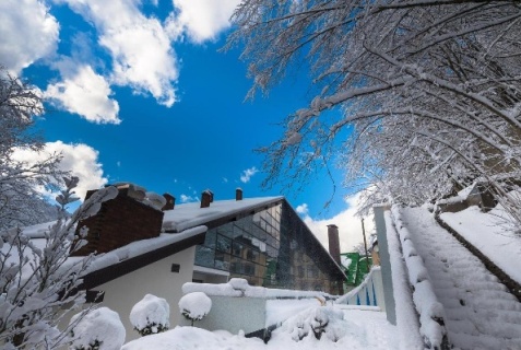 Эстосадок: Отель Villa Arianа