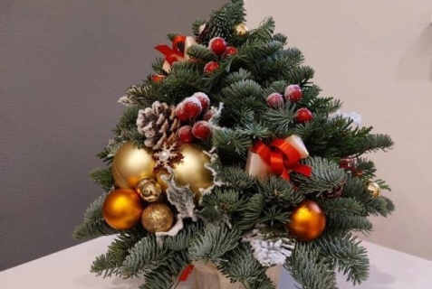 Кировск: Апартаменты Дом в наём