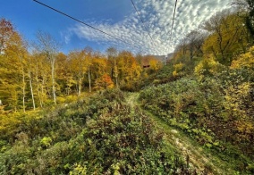 Отель Travel Hotels в Даховской