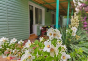 Коттедж Грин хаус в Пляхо