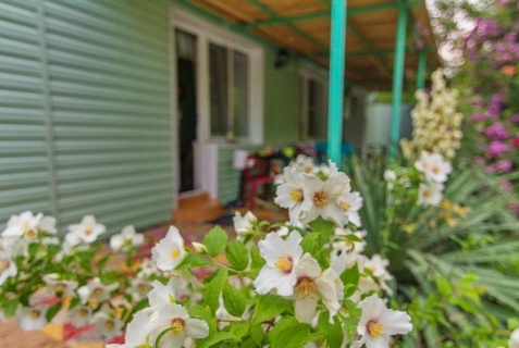 Пляхо: Отель Грин хаус