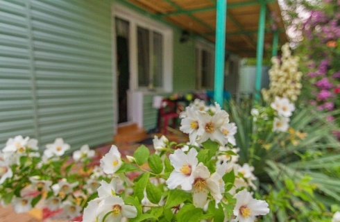 с. Пляхо: Отель Грин хаус