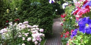 Светлогорск: Гостевой дом Villa Mignon