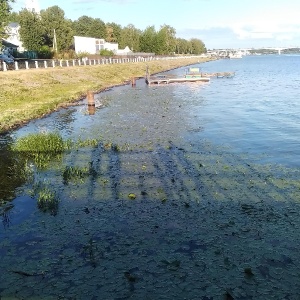 Фото от владельца Старая пристань, ресторан