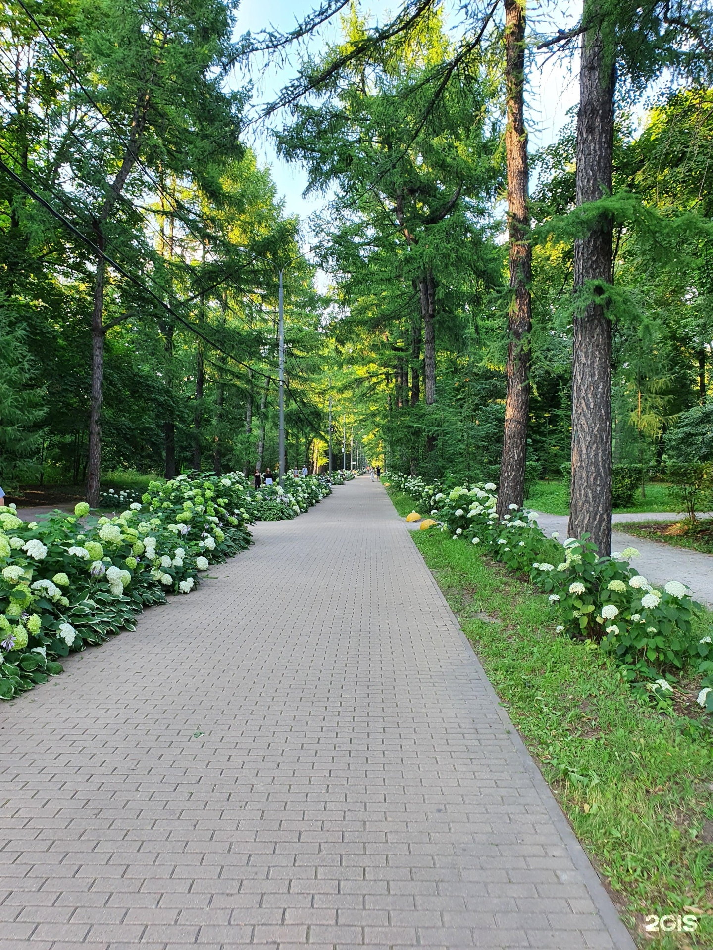 парки отдыха в москве