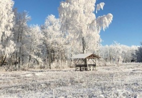 Отель ЕвроПарк в Пензенской области