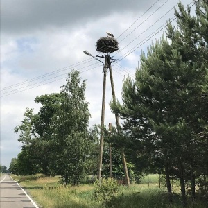 Фото от владельца Светофор, автошкола