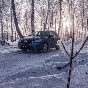 Фото от владельца Автомир, автосалон