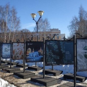 Фото от владельца Алтуфьево, парк-усадьба