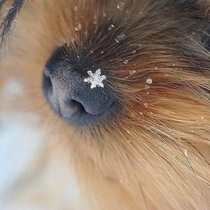 Фото от владельца Час-Пик, пиццерия