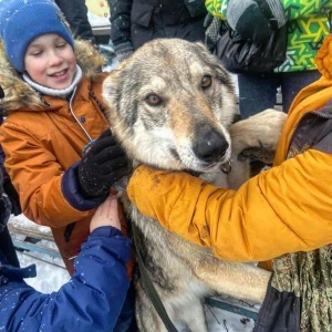 Фото от владельца Собачья Академия, центр дрессировки