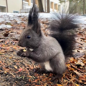 Фото от владельца Амурский залив, санаторий