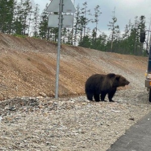 Фото от владельца Амур Экстрим, клуб альпинизма