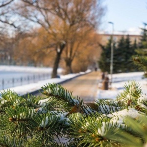 Фото от владельца Перовский, парк культуры и отдыха