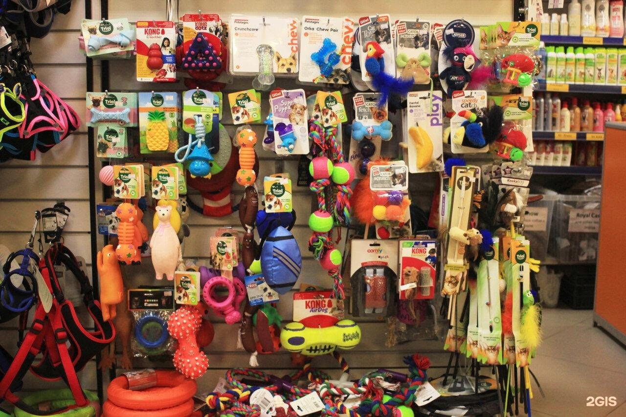 шоколад купавна тц зоомагазин. рыжий хвост зоомагазин. тц шоколад купавна. рыжий хвост зоомагазин. рыжий кот рыбинск зоомагазин.