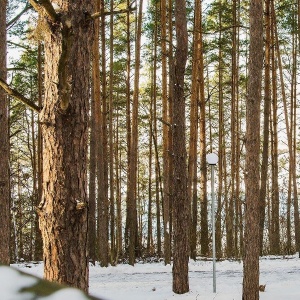 Фото от владельца Донской лес, загородный отель-клуб