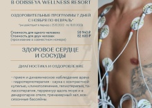 Лазаревское пос.: Санаторий Одиссея Wellness Resort