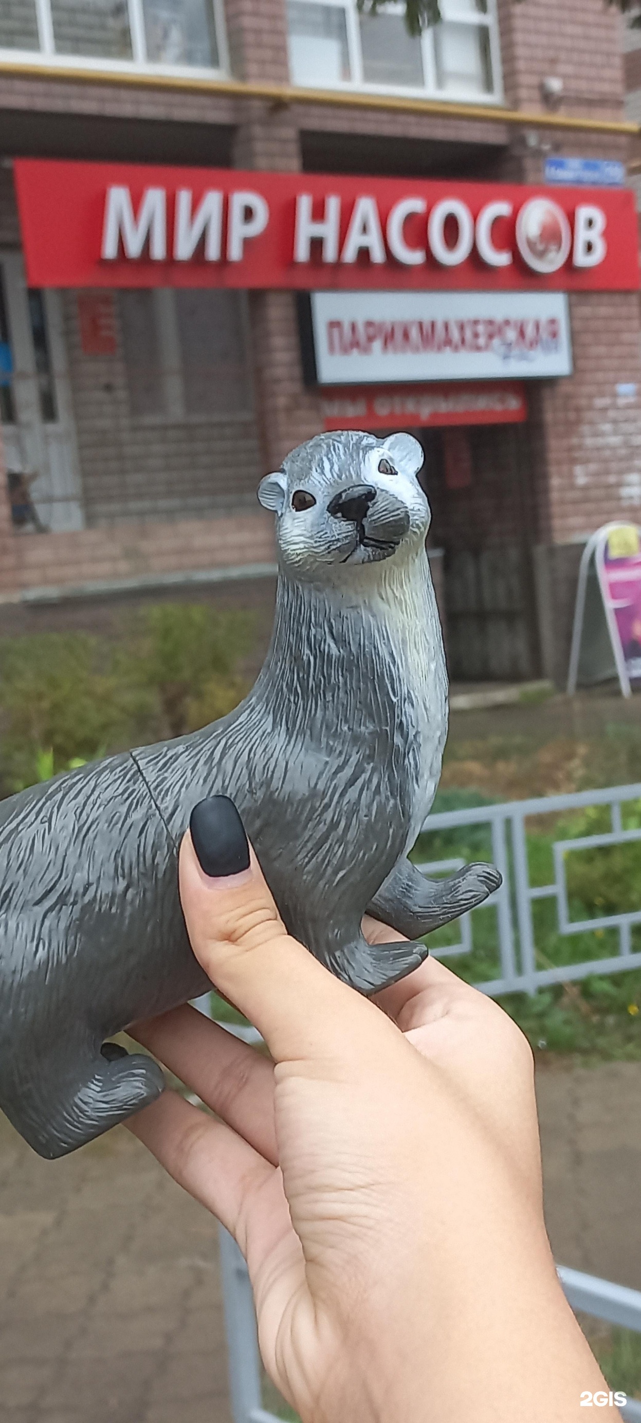 Мир насосов дзержинск