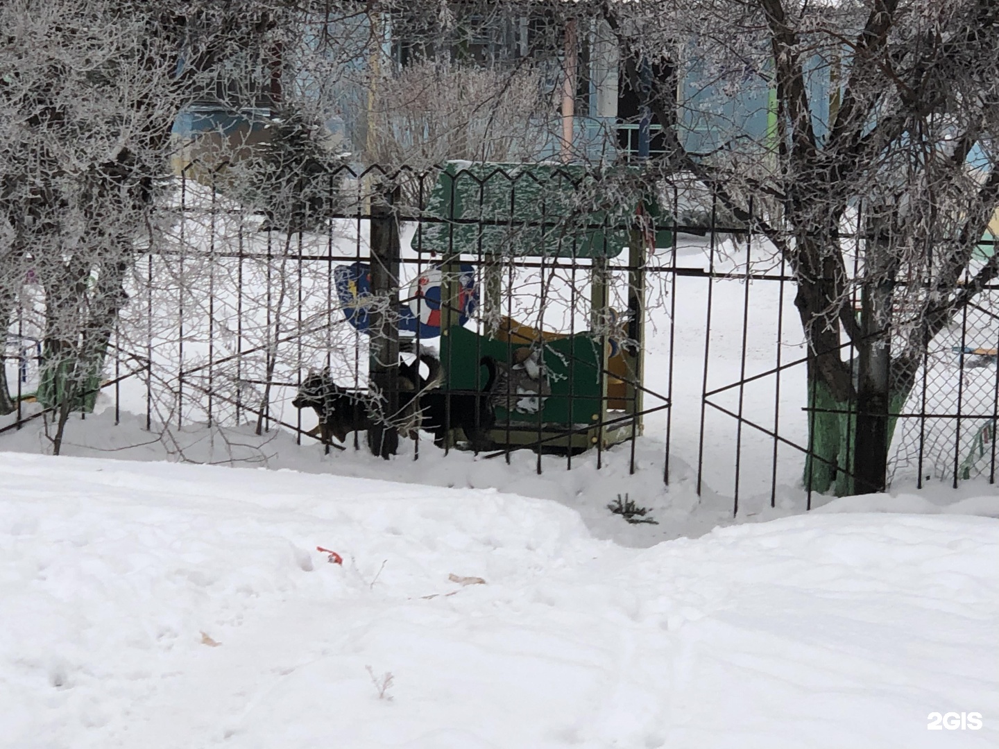 Погода в белово рп 5. Детский сад 3 кораблик Белово.