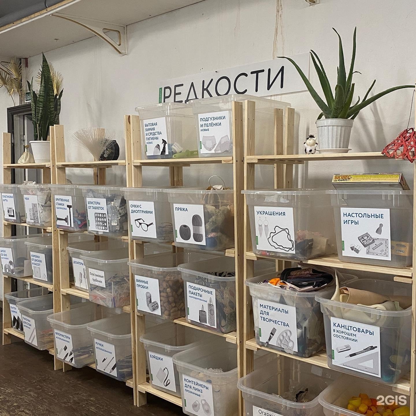 собиратор раздельный сбор. собиратор спб. собиратор воронеж. собиратор воронеж. собиратор воронеж.