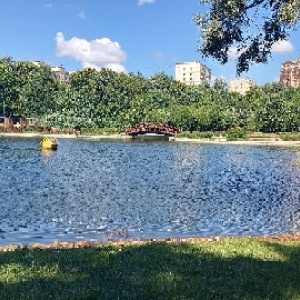 Фото от владельца Дубки, парк